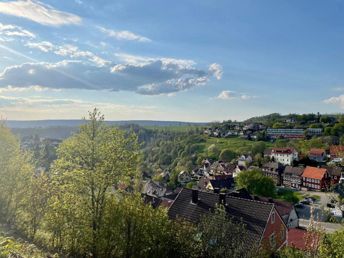 Ferienwohnung Clyde Sankt Andreasberg Kültér fotó